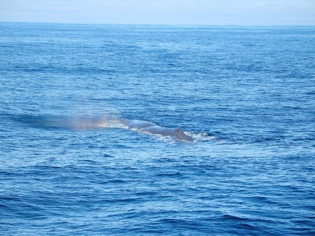 Urlaub in Norwegen 2006